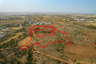 Shared agricultural field in Paralimni, Famagusta thumbnail 2