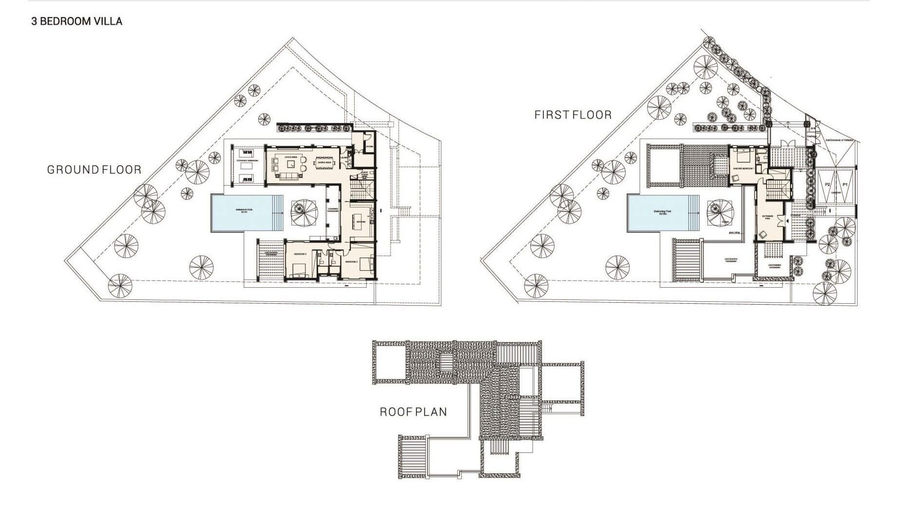 3 BR Villa in Kouklia, Paphos photo 4