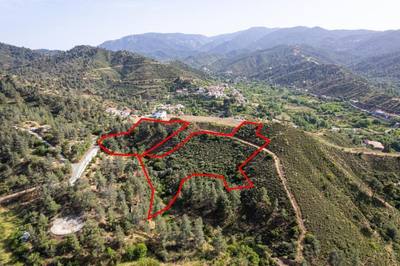 Two adjacent residential fields in Sinaoros, Nicosia thumbnail 3