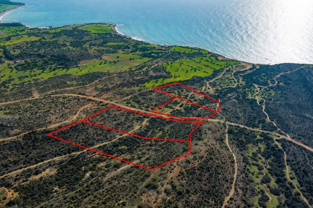 Touristic fields in Pissouri, Limassol — photo 3