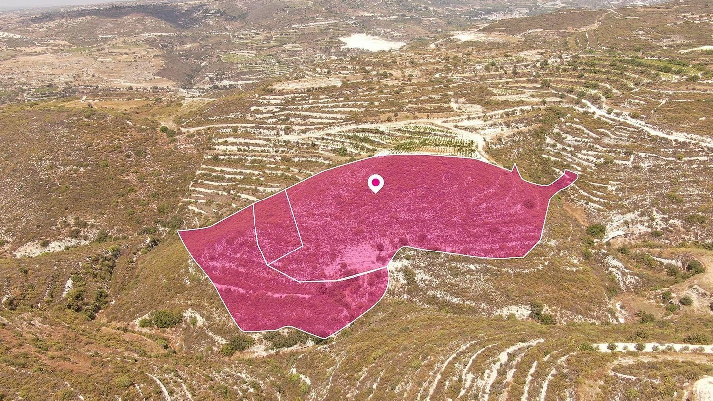 Three agricultural fields located in Vouni, Limassol photo 2