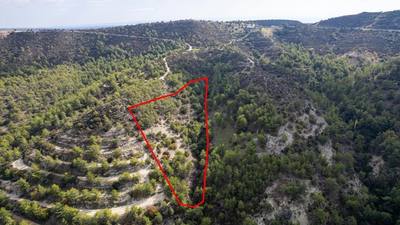 Shared field in Anogyra, Limassol thumbnail 5
