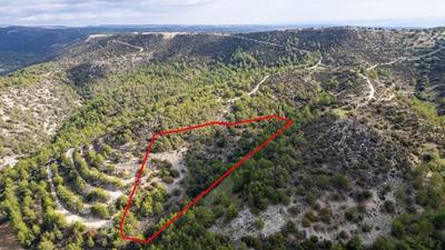 Shared field in Anogyra, Limassol thumbnail 4