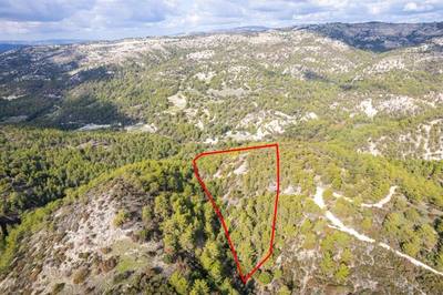 Shared field in Anogyra, Limassol thumbnail 2