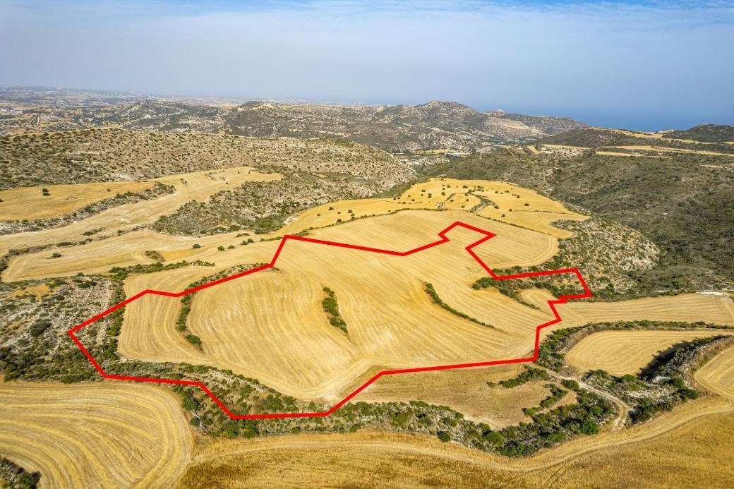 Shared field in Choirokoitia, Larnaca — photo 2