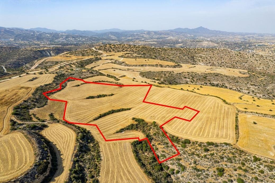 Shared field in Choirokoitia, Larnaca