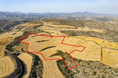 Shared field in Choirokoitia, Larnaca thumbnail 1