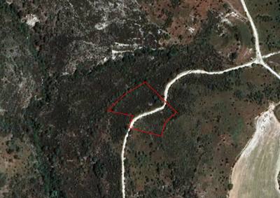 Field in Dora, Limassol thumbnail 1