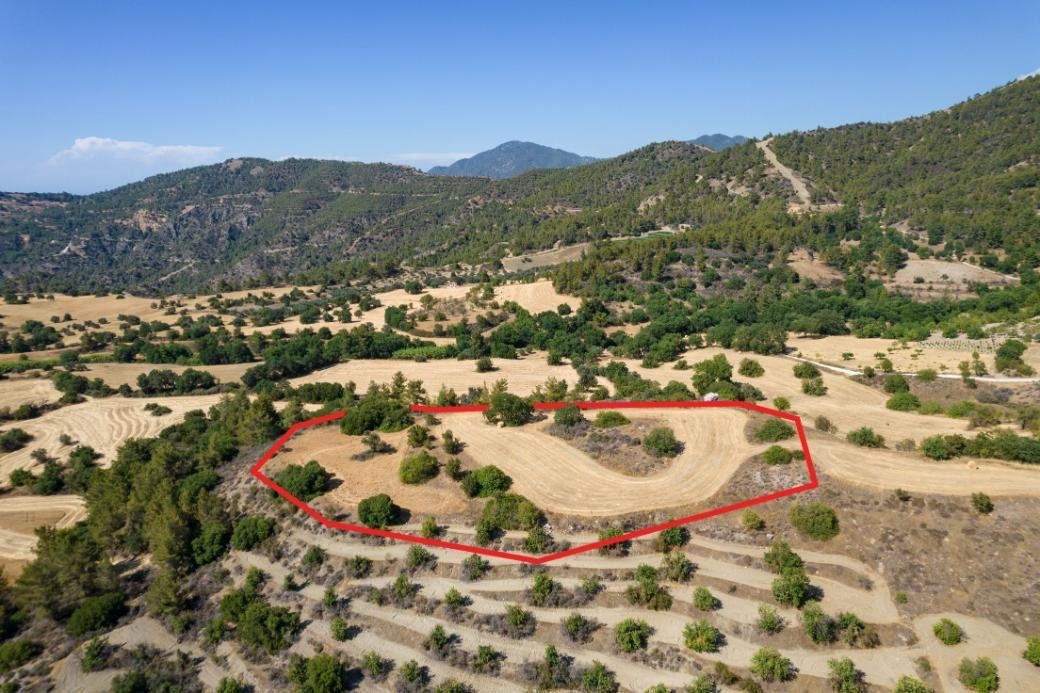 Shared agricultural field in Lysos, Paphos photo 1