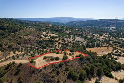 Shared agricultural field in Lysos, Paphos thumbnail 3