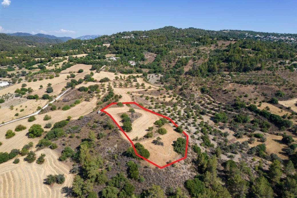 Shared agricultural field in Lysos, Paphos photo 4