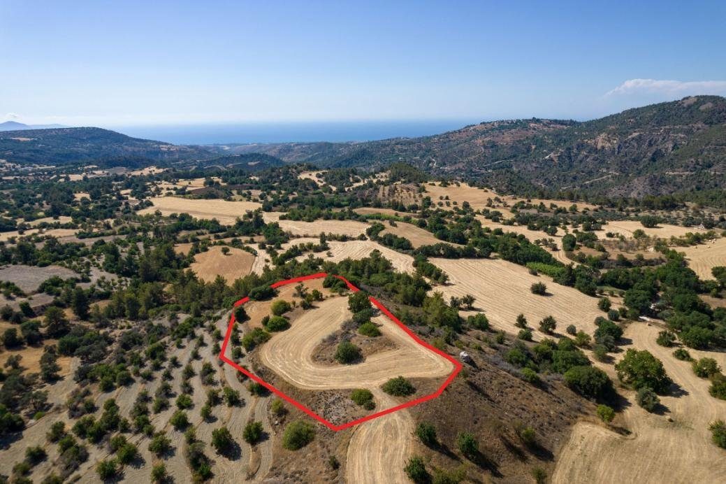Shared agricultural field in Lysos, Paphos photo 2