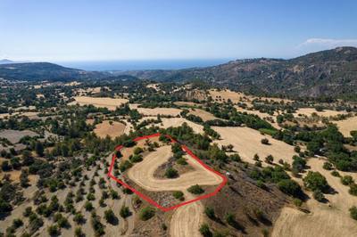 Shared agricultural field in Lysos, Paphos thumbnail 2