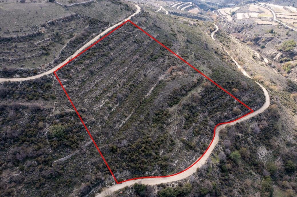 Field in Arsos, Limassol photo 2