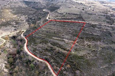 Field in Arsos, Limassol thumbnail 3
