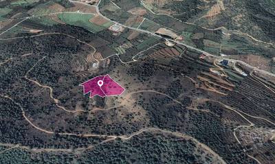 2 x Fields in Tsakistra, Nicosia thumbnail 3