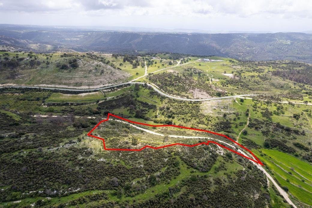 Shared field in Mousere, Paphos photo 3
