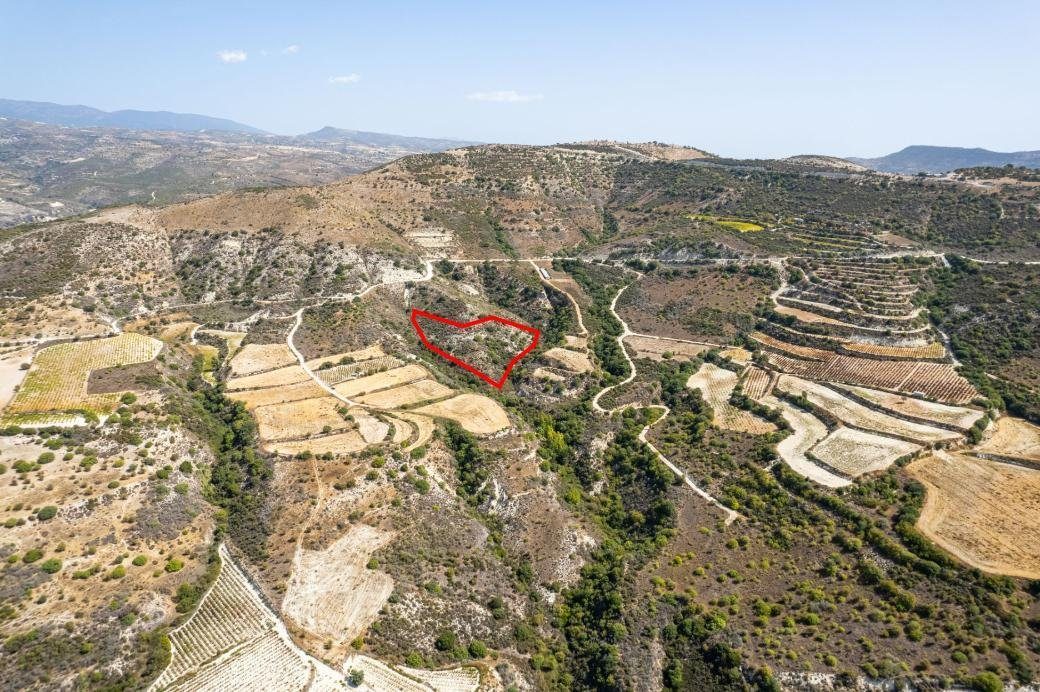 Field in Dora, Limassol photo 2