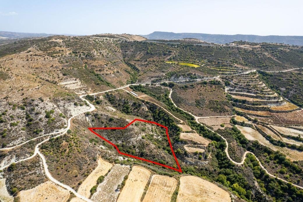 Field in Dora, Limassol photo 1