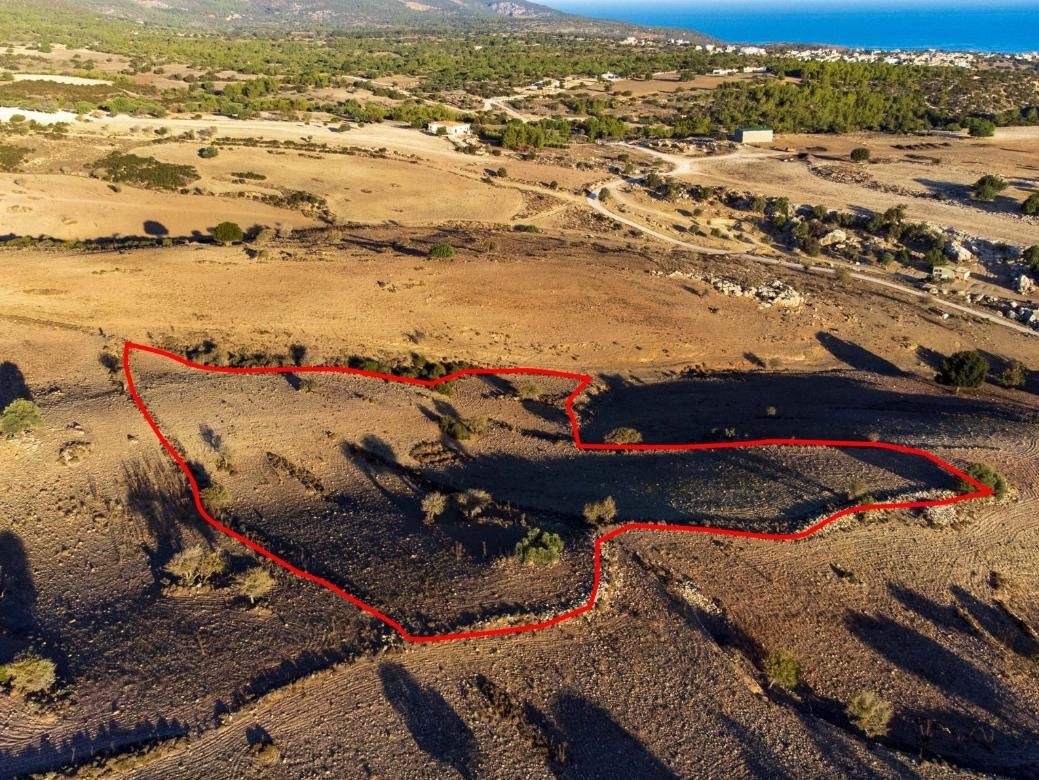 Shared agricultural field in Androlikou, Paphos photo 3