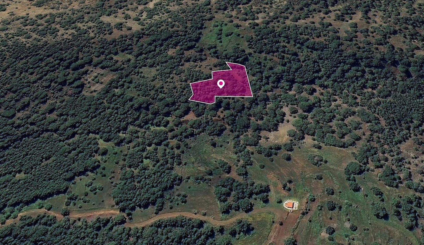 FIeld in Pomos, Paphos photo 3