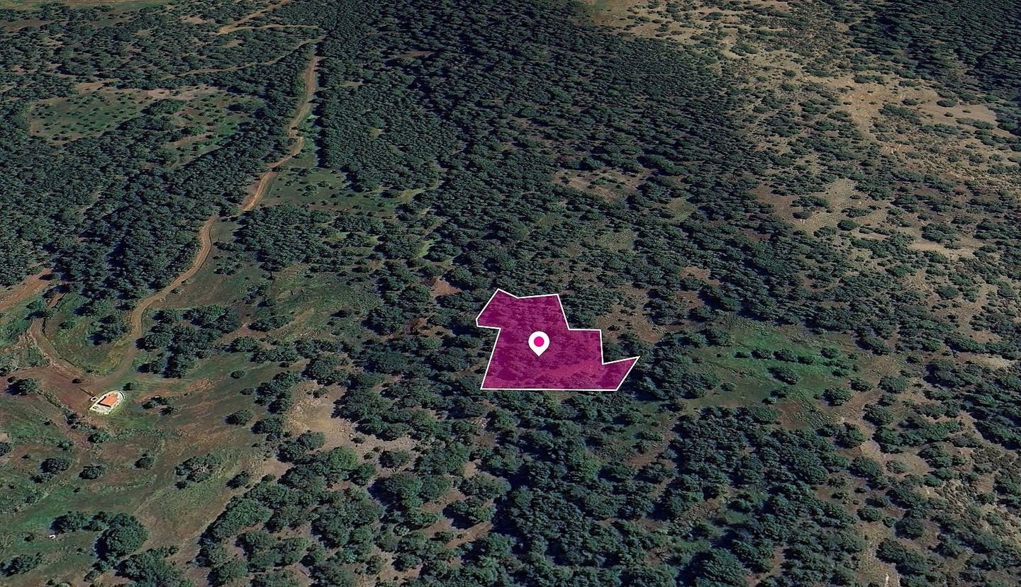 Special Protection FIeld, Pomos, Paphos photo 1