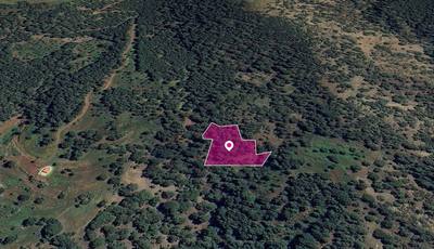 FIeld in Pomos, Paphos thumbnail 1