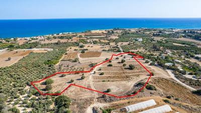 Residential field in Agios Theodoros, Larnaca thumbnail 2