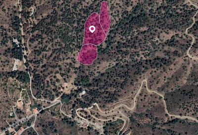 Three adjacent agricultural Fields in Kakopetria, Nicosia thumbnail 3