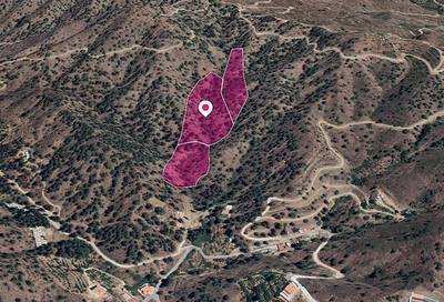 Three adjacent agricultural Fields in Kakopetria, Nicosia thumbnail 4