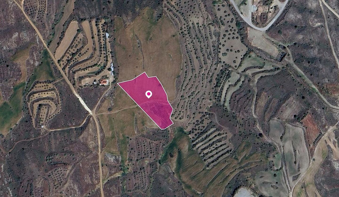 (Share) Agricultural Field in Kalo Chorio Oreinis, Nicosia photo 3