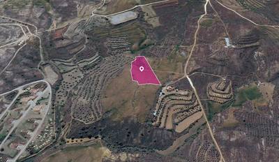 (Share) Agricultural Field in Kalo Chorio Oreinis, Nicosia thumbnail 2