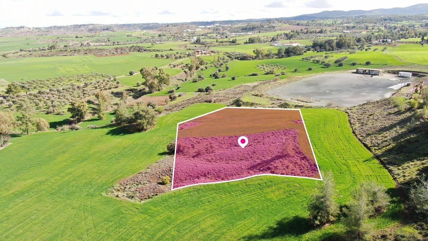 Residential field in Klirou, Nicosia photo 6