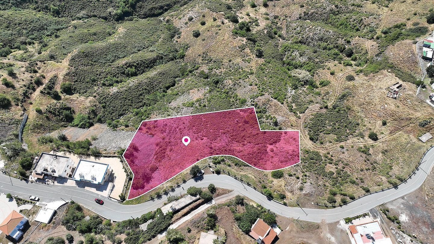 Field in Pigenia, Nicosia — photo 4