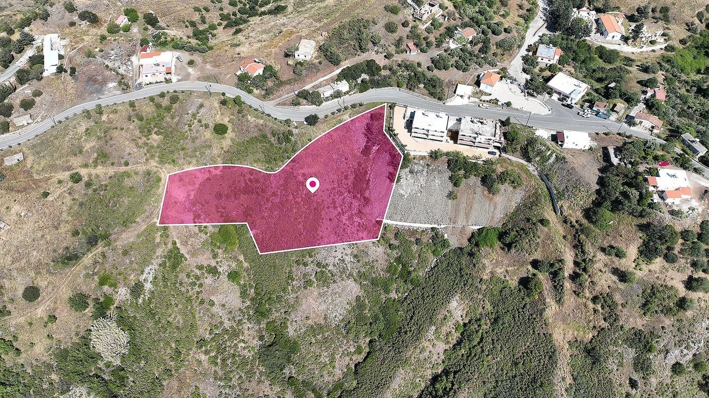 Field in Pigenia, Nicosia — photo 3