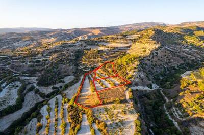 Three agricultural fields in Amargeti, Paphos thumbnail 4