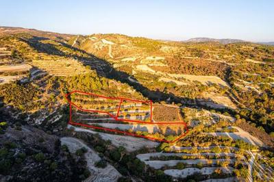 Three agricultural fields in Amargeti, Paphos thumbnail 1