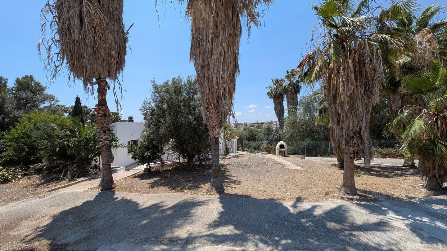 Four-Bedroom Ground Floor Detached House in Anarita, Paphos photo 16