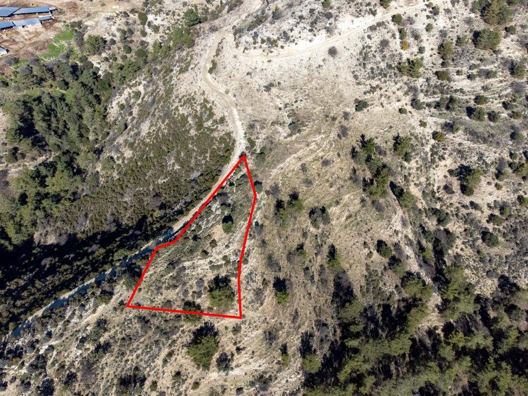 Field in Mousere, Paphos photo 2