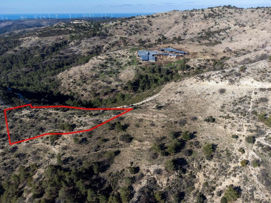 Field in Mousere, Paphos photo 1