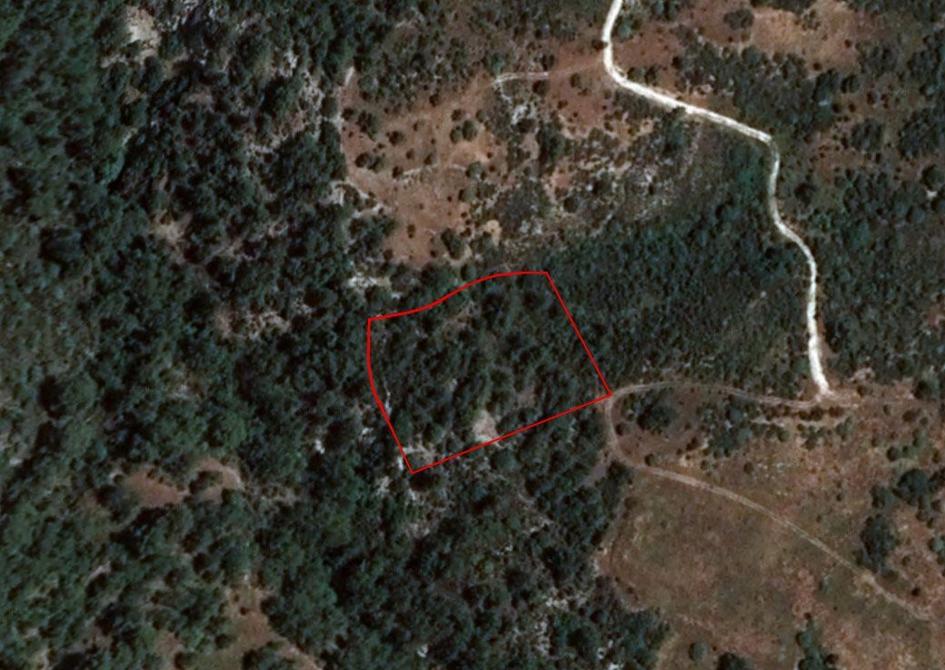 Field in Dora, Limassol photo 1