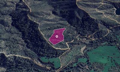 (Share) Special Protection Zoned Field in Lythrodontas, Nicosia. thumbnail 1