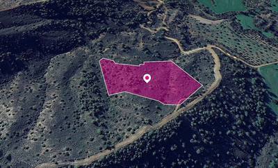 (Share) Special Protection Zoned Field in Lythrodontas, Nicosia. thumbnail 3