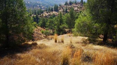 Residential field in Agios Theodoros Soleas, Nicosia thumbnail 2