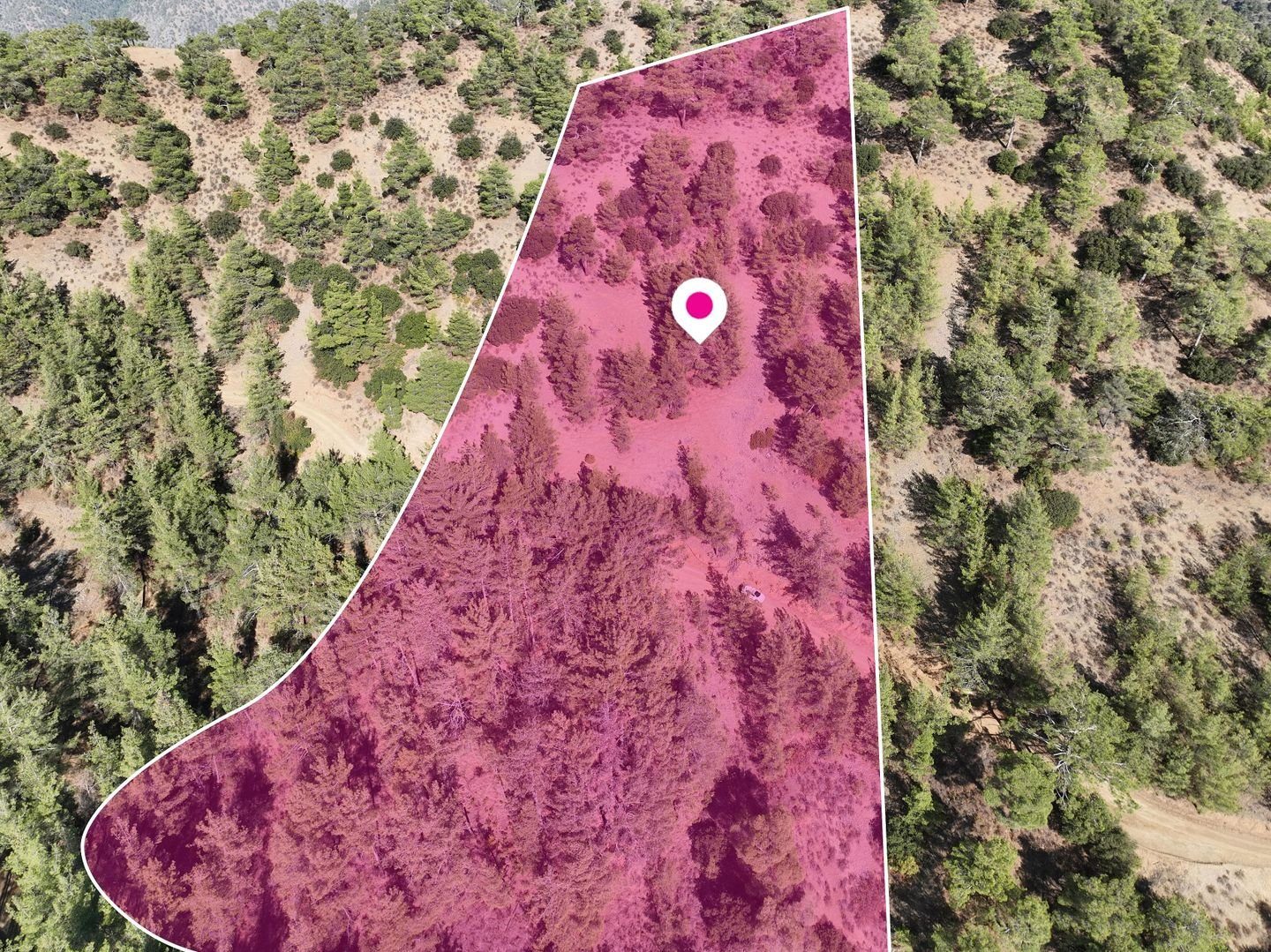 Field in Gerakies, Nicosia photo 5