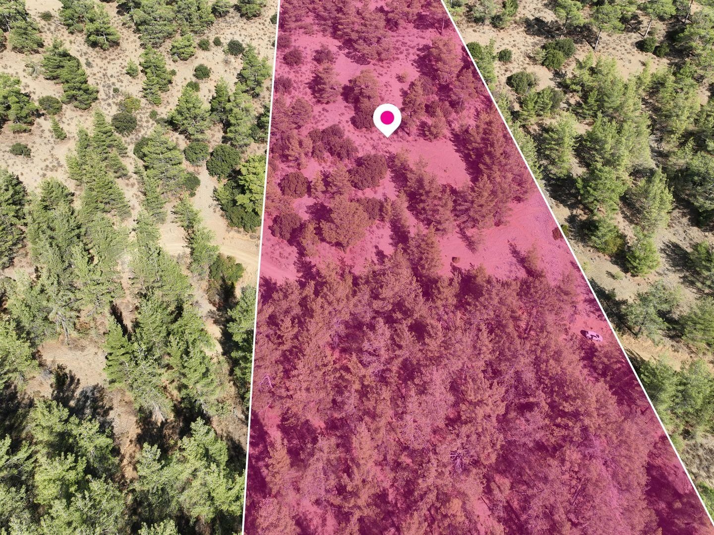 Field in Gerakies, Nicosia photo 6