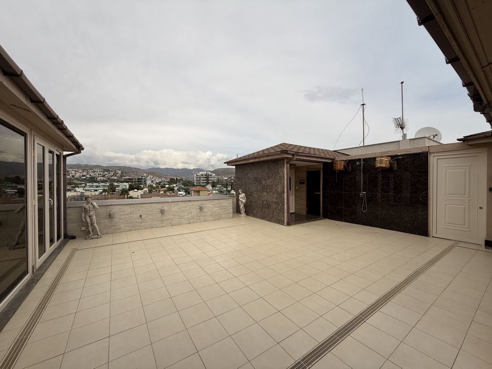 3 BR Penthouse in Potamos Germasogeias, Limassol photo 21