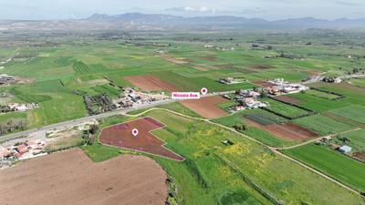 (Share) Agricultural field in Peristerona, Nicosia thumbnail 3