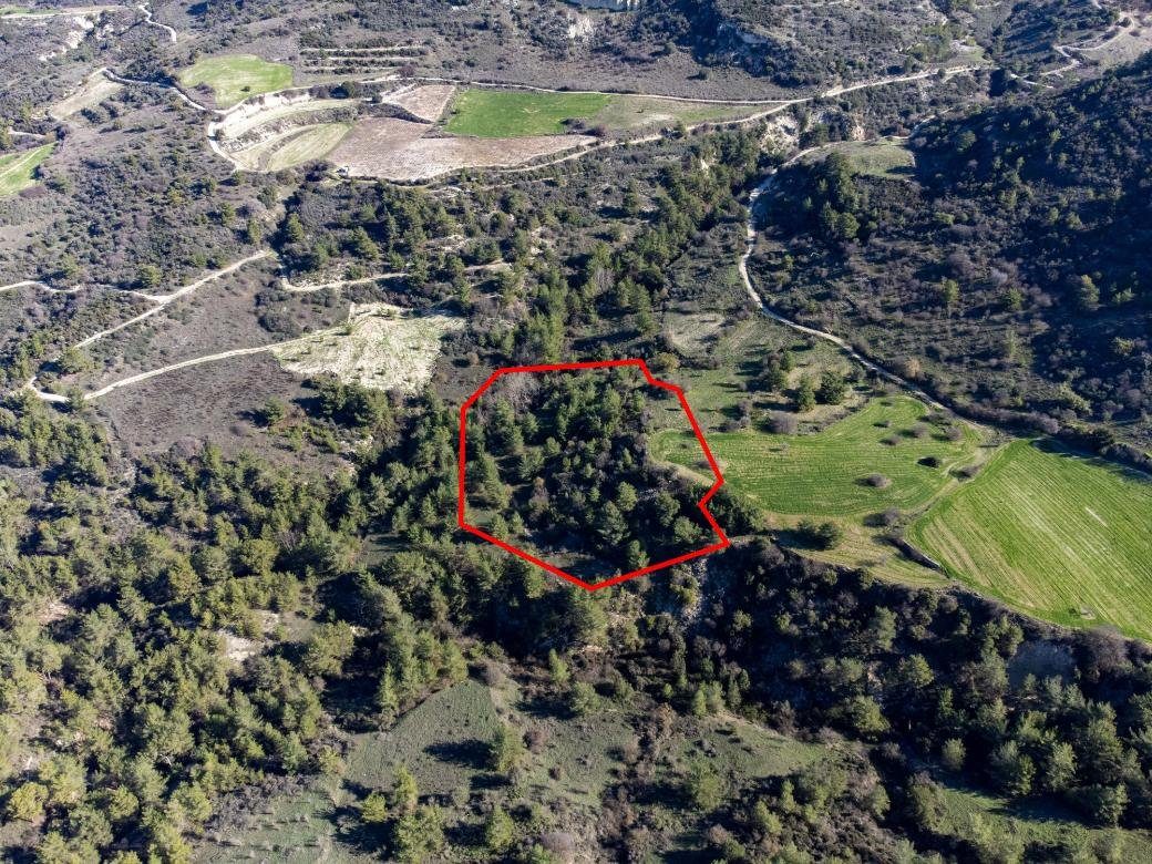 Field in Mousere, Paphos — photo 2