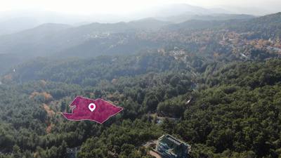 (Share) Residential Field, Pano Platres, Limassol thumbnail 3